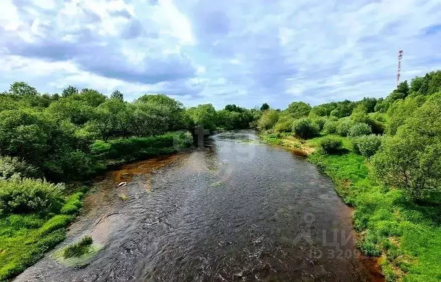 Участок в Ярославская область, Тутаевский муниципальный округ, ... - Фото 1