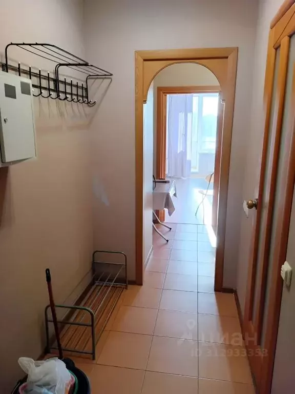 Студия Санкт-Петербург Малая Бухарестская ул., 5к2 (24.0 м) - Фото 2