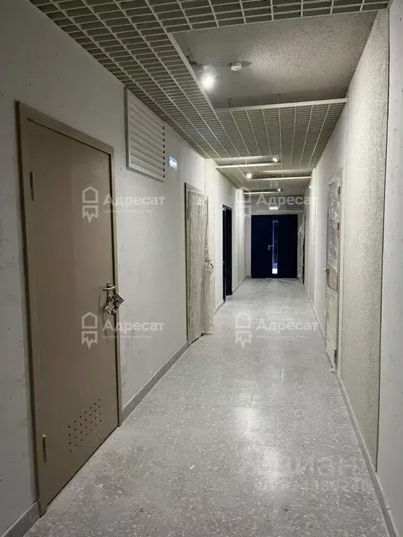 Помещение свободного назначения в Волгоградская область, Волгоград ул. ... - Фото 1