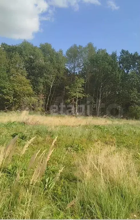 Участок 6 сот. (личное подсобное хозяйство (лпх)) - Фото 1