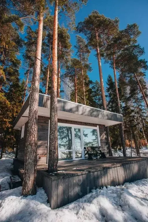 Дом в Нижегородская область, Городецкий муниципальный округ  (20 м) - Фото 0