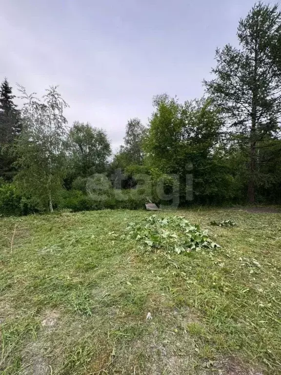 Участок в Иркутская область, Иркутск Светлый СНТ, ул. Береговая, 103 ... - Фото 2