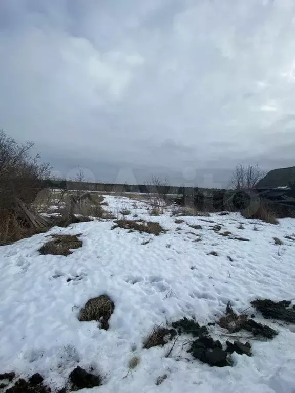 Дом 34 м на участке 31,5 сот. - Фото 1