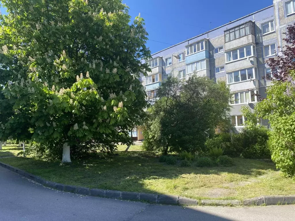2-к кв. Калининградская область, Калининград ул. Дзержинского, 164 ... - Фото 0