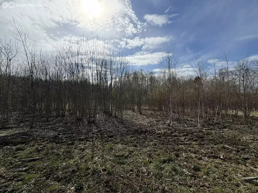 Участок в Московская область, городской округ Клин, коттеджный поселок ... - Фото 2