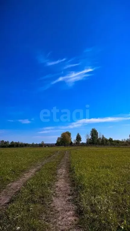 Участок в Новосибирская область, Колыванский район, Сибирская Волость ... - Фото 0