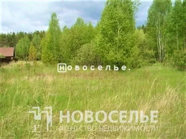 Участок в Рязанская область, Рязанский район, пос. Мурмино ул. ... - Фото 1