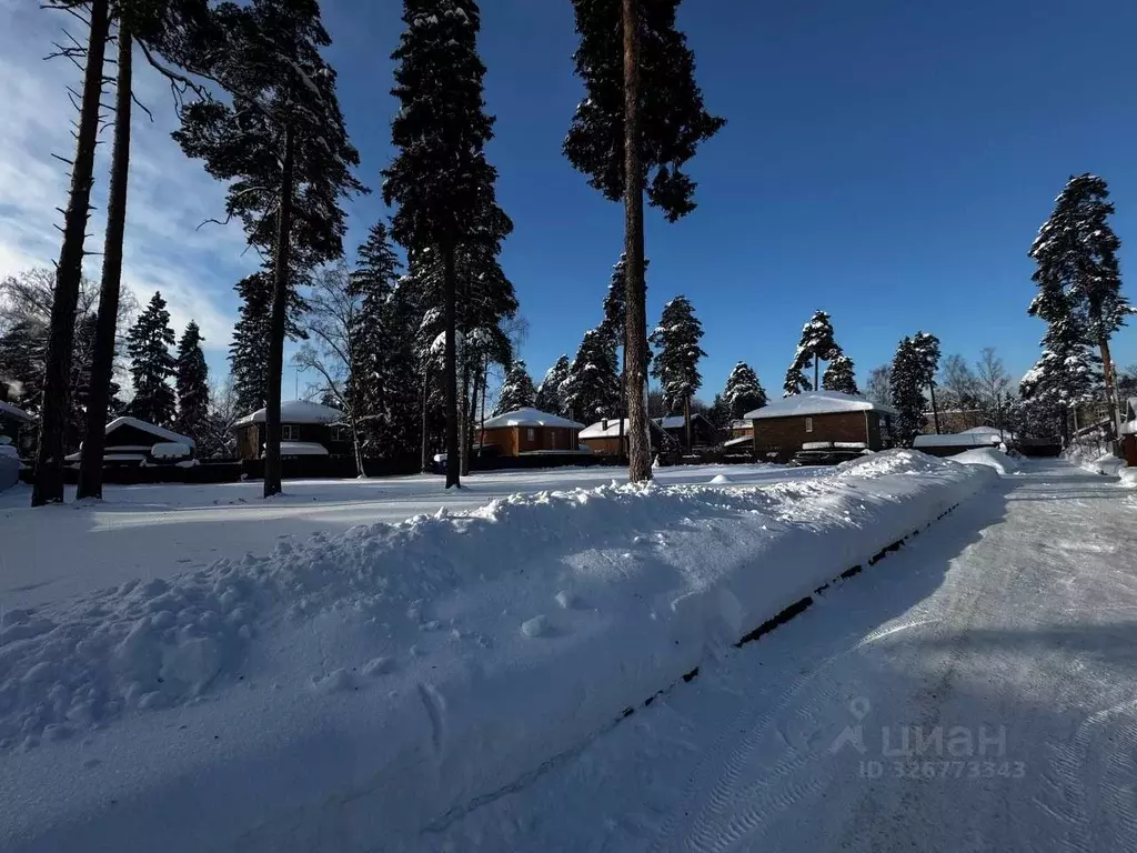 Участок в Московская область, Пушкино Мамонтовка мкр, Фестивальная ул. ... - Фото 1