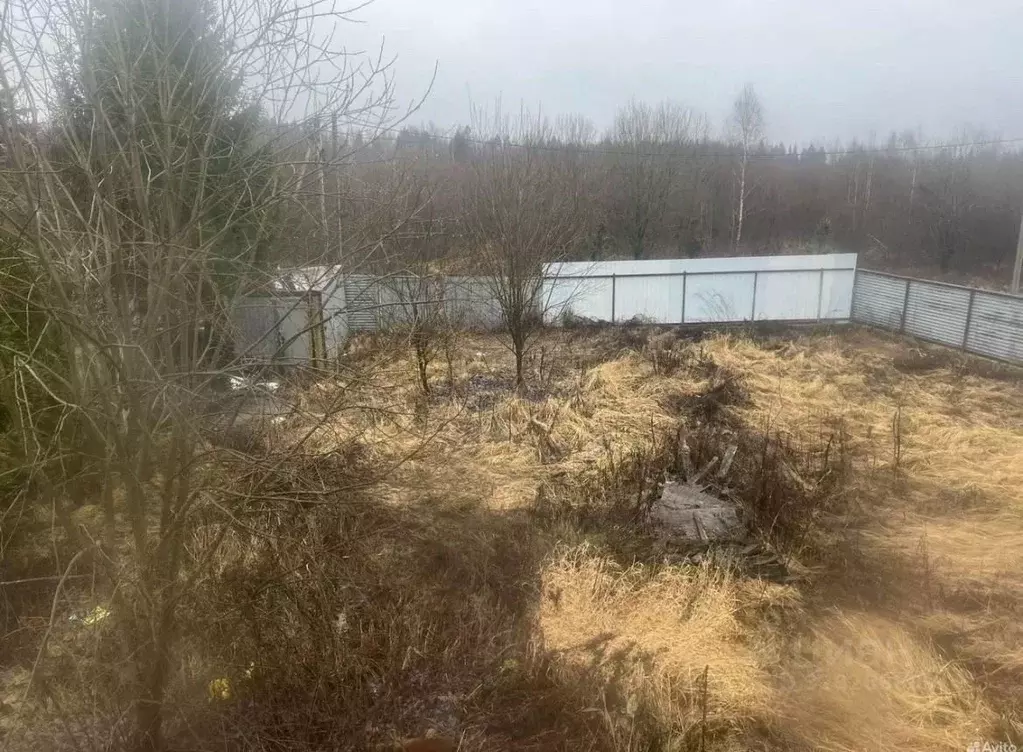 Участок в Московская область, Дмитровский муниципальный округ, д. ... - Фото 1