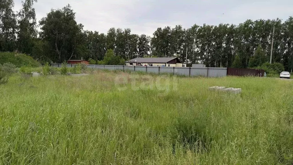 Участок в Омская область, Омский район, пос. Иртышский Солнечная ул. ... - Фото 2