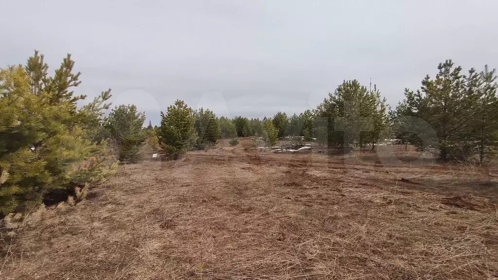 Участок 120 га (СНТ, ДНП) - Фото 1