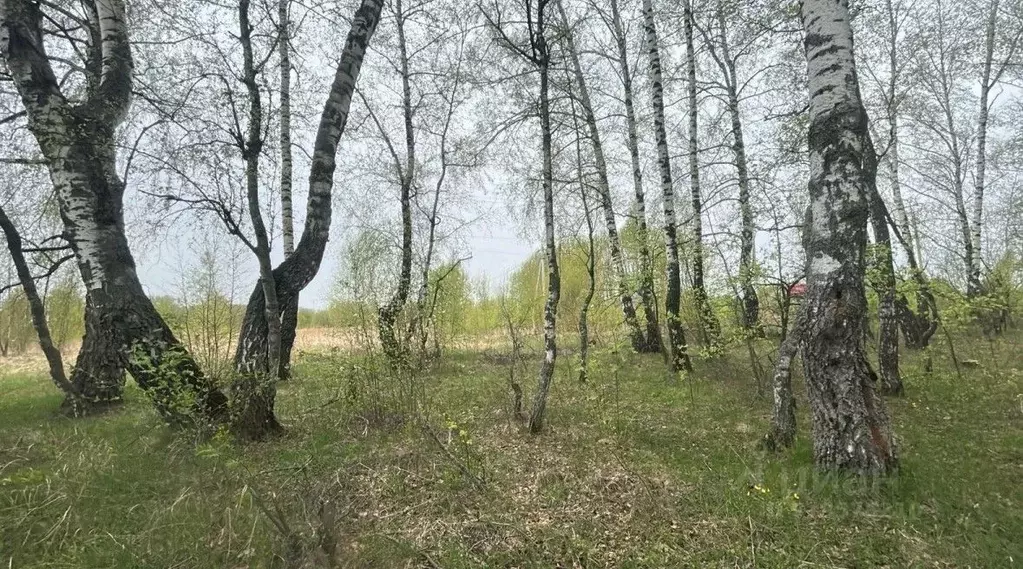 Участок в Московская область, Ступино городской округ, д. Щапово  ... - Фото 0