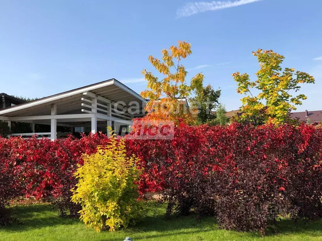 Участок в Московская область, Можайский муниципальный округ, СНТ ... - Фото 2