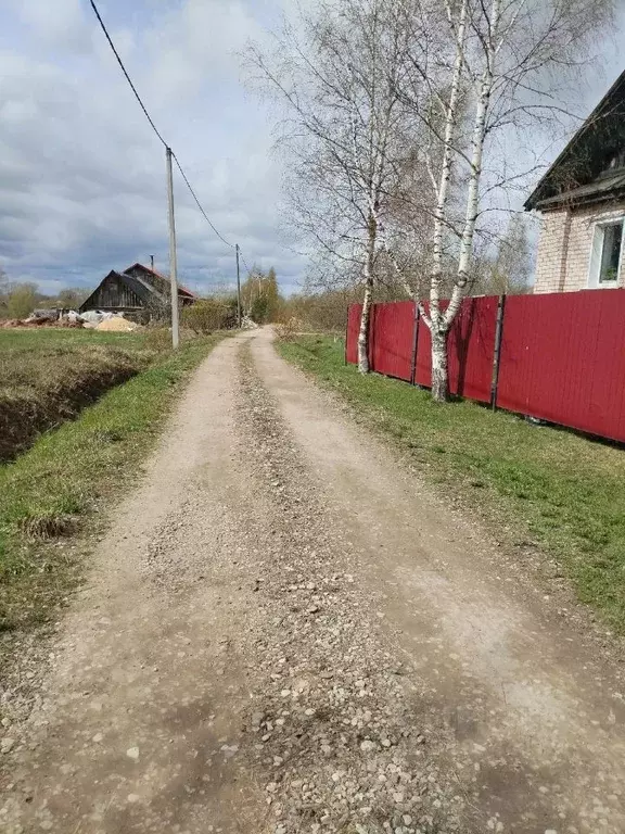 Участок в Новгородская область, Старорусский район, Великосельское ... - Фото 1