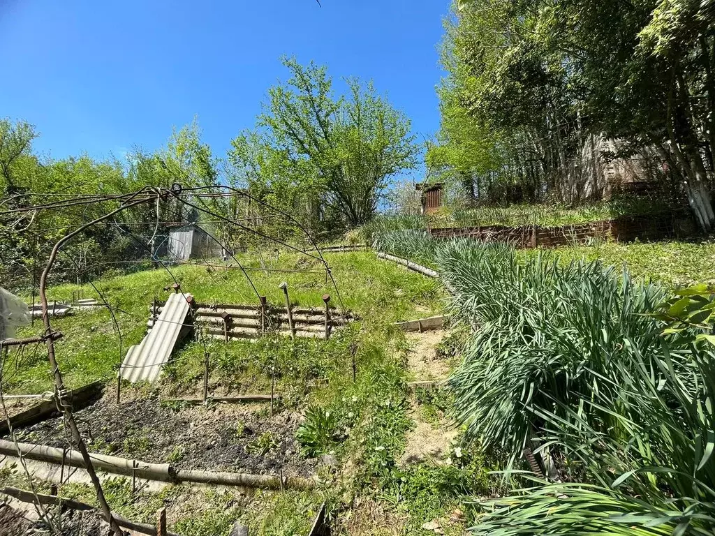 Участок в Краснодарский край, Сочи городской округ, с. Пластунка, ... - Фото 2