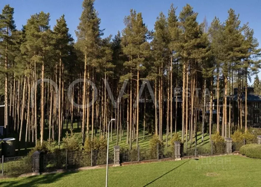 Участок в Ленинградская область, Всеволожский район, Бугровское ... - Фото 1