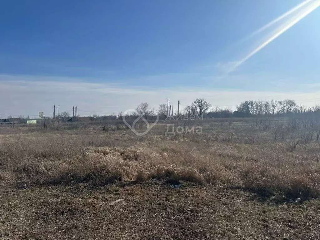 Участок в Волгоградская область, Городищенский район, Новонадеждинское ... - Фото 0