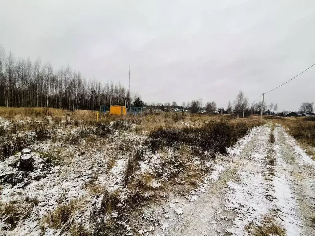 Участок в Ярославская область, Некрасовский муниципальный округ, д. ... - Фото 2