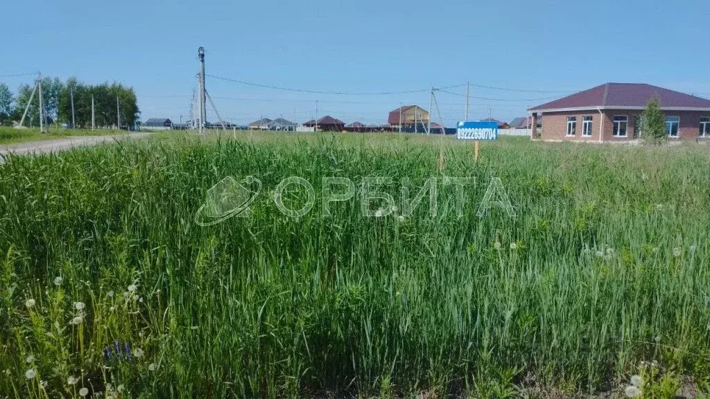 Участок в Тюменская область, Тюменский муниципальный округ, с. Чикча  ... - Фото 2