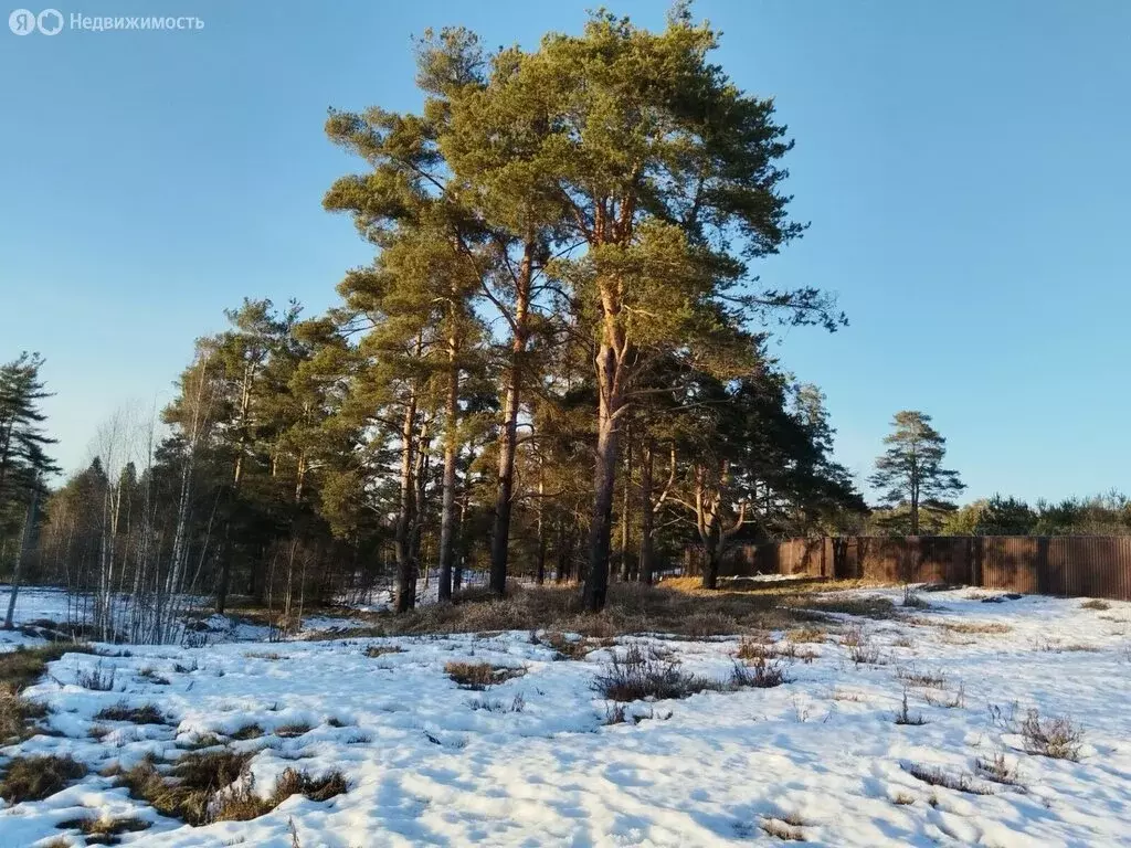 Участок в Выборгский район, Первомайское сельское поселение, посёлок ... - Фото 2