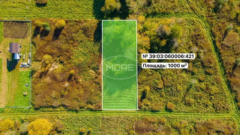 Участок в Калининградская область, Гурьевский муниципальный округ, ... - Фото 2