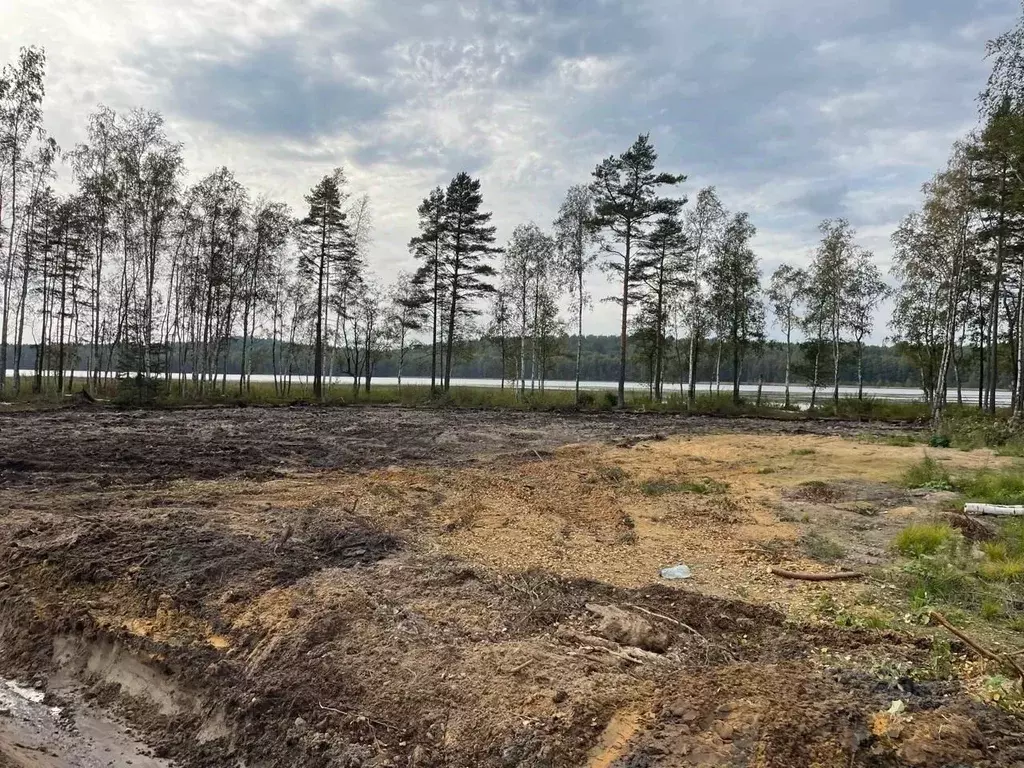 Участок в Ленинградская область, Всеволожский район, Токсовское ... - Фото 2