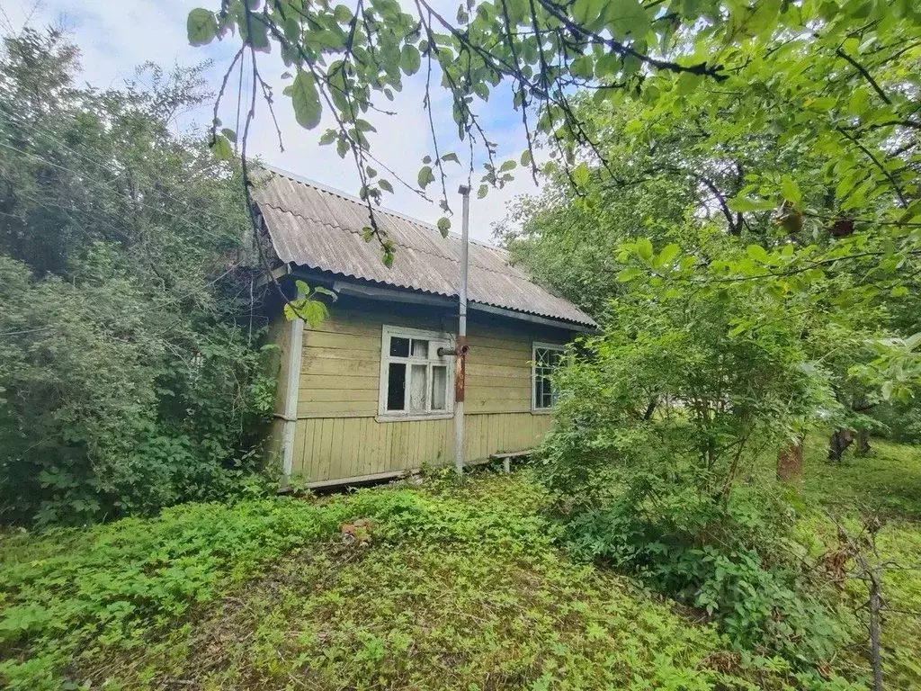 Дом в Московская область, Богородский городской округ, Дружба СНТ 144 ... - Фото 1