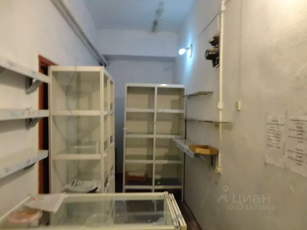 Помещение свободного назначения в Амурская область, с. Тамбовка ул. ... - Фото 0