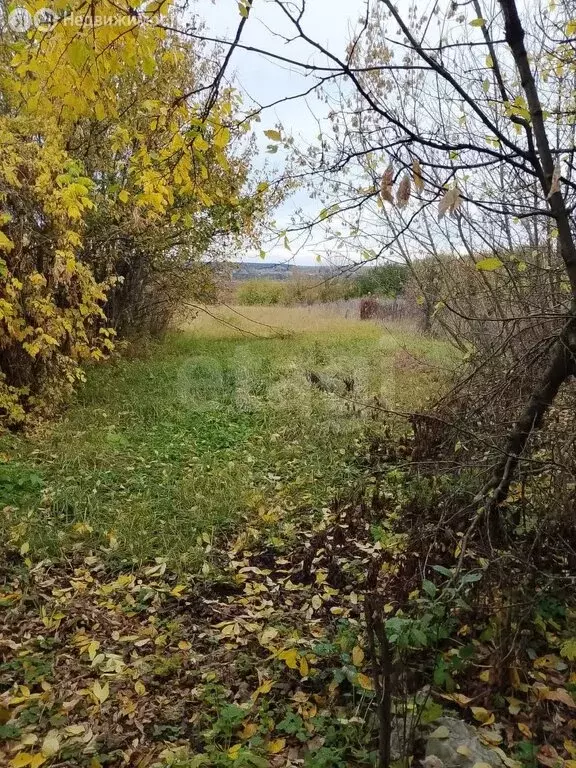 Участок в Синдякино, Молодёжная улица (20 м) - Фото 1