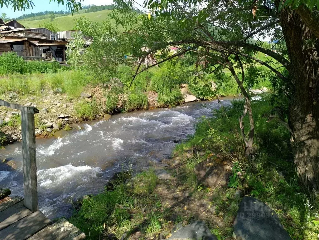 Участок в Алтай, Шебалинский район, с. Мыюта  (10.0 сот.) - Фото 0