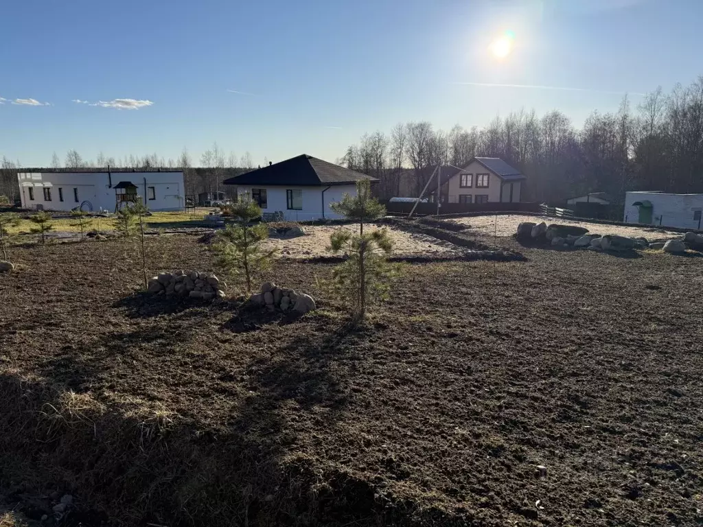 Участок в Ленинградская область, Выборгский район, Рощинское городское ... - Фото 1