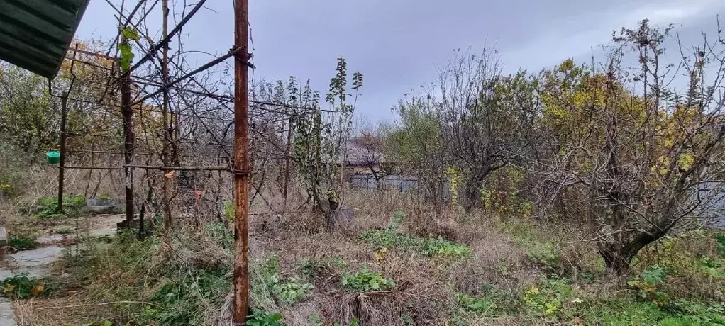 Участок в Ростовская область, Ростов-на-Дону Садовод-Любитель садовое ... - Фото 0