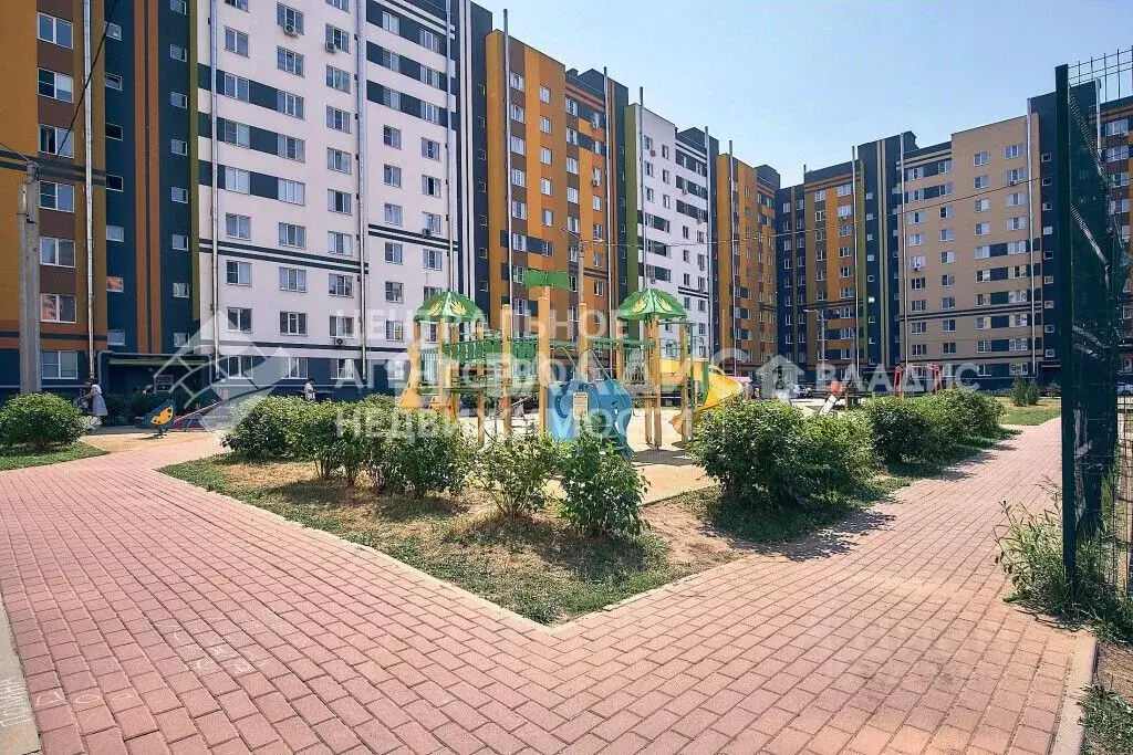 1-к кв. Рязанская область, Рязань Песочня тер., ул. Зубковой, 18к11 ... - Фото 1