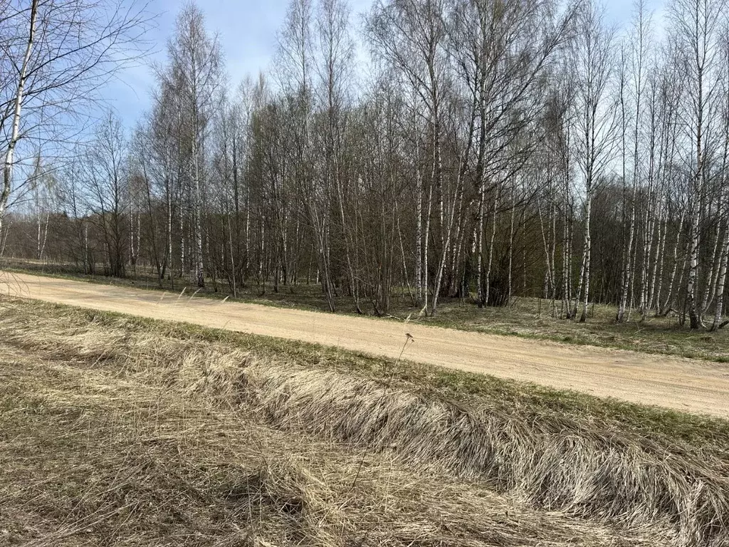 Участок в Владимирская область, Александровский район, ... - Фото 0