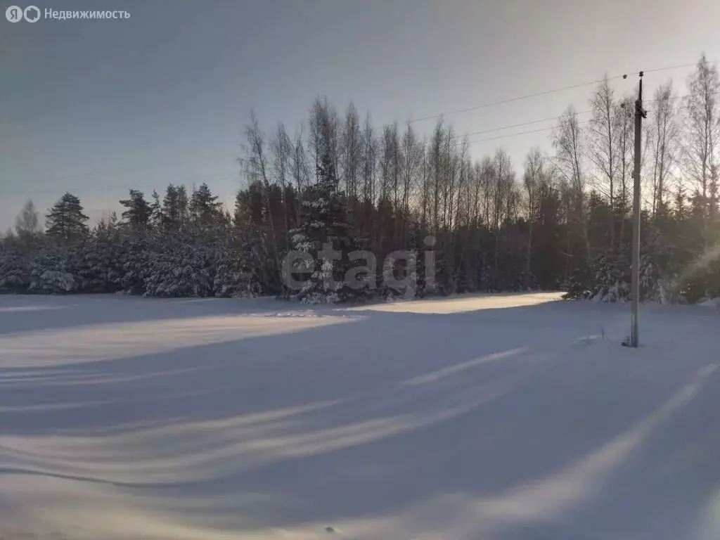 Участок в Высокогорский район, Берёзкинское сельское поселение, село ... - Фото 0