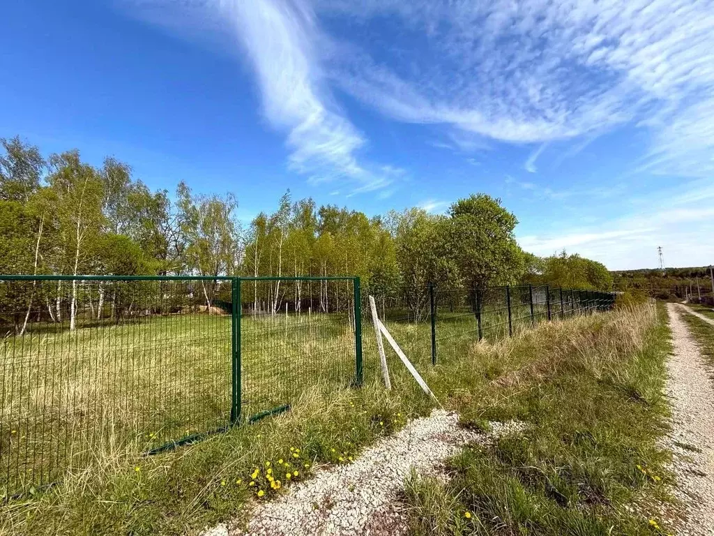 Участок в Тульская область, Заокский район, Демидовское с/пос, д. ... - Фото 2