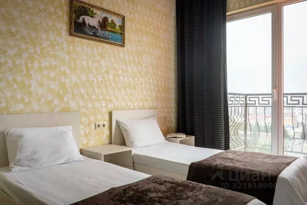 1-к кв. Краснодарский край, Сочи ул. Ленина, 219/6Б (20.0 м) - Фото 0