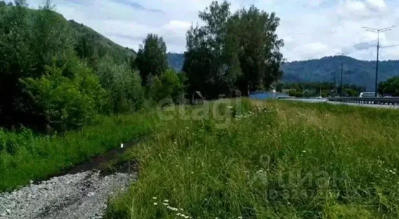 Участок в Алтай, Майминский район, пос. Рыбалка  (17.0 сот.) - Фото 1