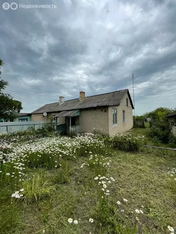 Дом в село Толстая Дубрава, улица 40 лет Победы, 6 (44.7 м) - Фото 1