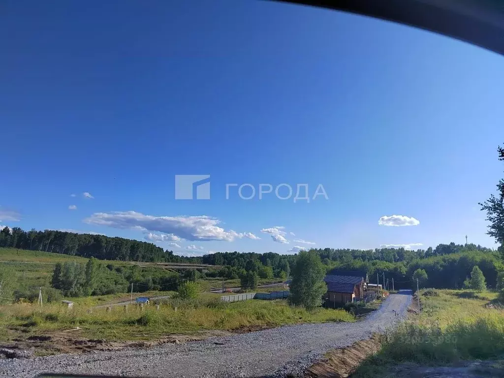 Участок в Новосибирская область, Новосибирский район, с. Раздольное ... - Фото 0