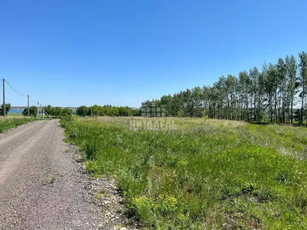 Участок в Воронежская область, Семилукский район, с. Девица ул. ... - Фото 1