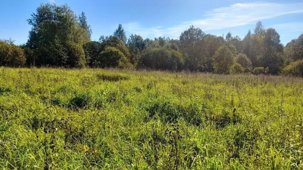 Участок в Новгородская область, Новгородский район, Ермолинское с/пос, ... - Фото 1