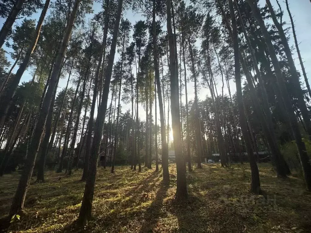 Участок в Московская область, Химки Новогорск-7 кп,  (19.0 сот.) - Фото 2