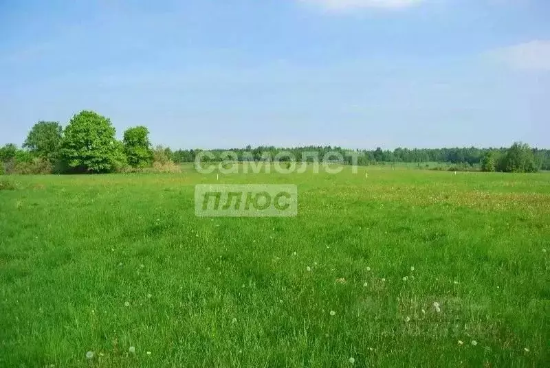 Участок в Тамбовская область, Тамбовский муниципальный округ, д. ... - Фото 2
