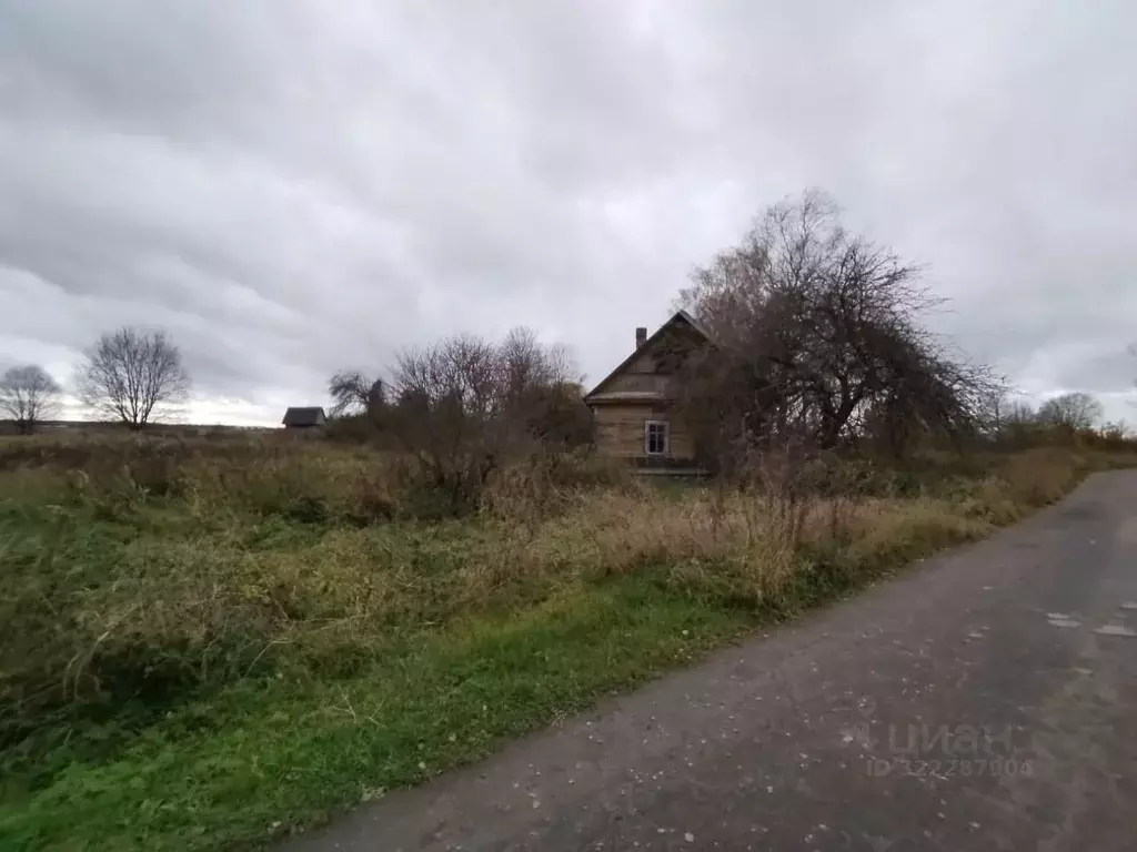 Участок в Ленинградская область, Волосовский район, Клопицкое с/пос, ... - Фото 1