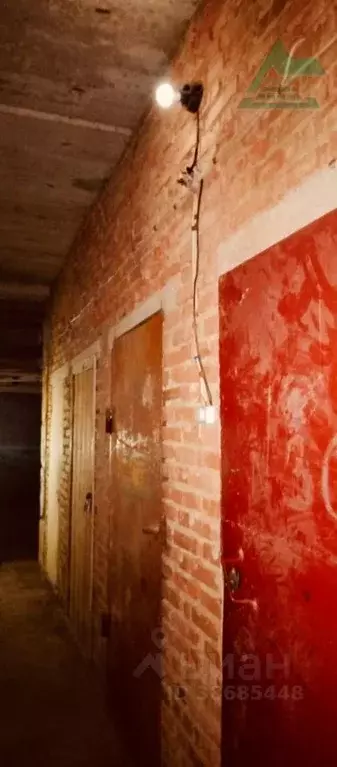 2-к кв. Оренбургская область, Оренбург ул. Бурзянцева, 24/1 (62.1 м) - Фото 2