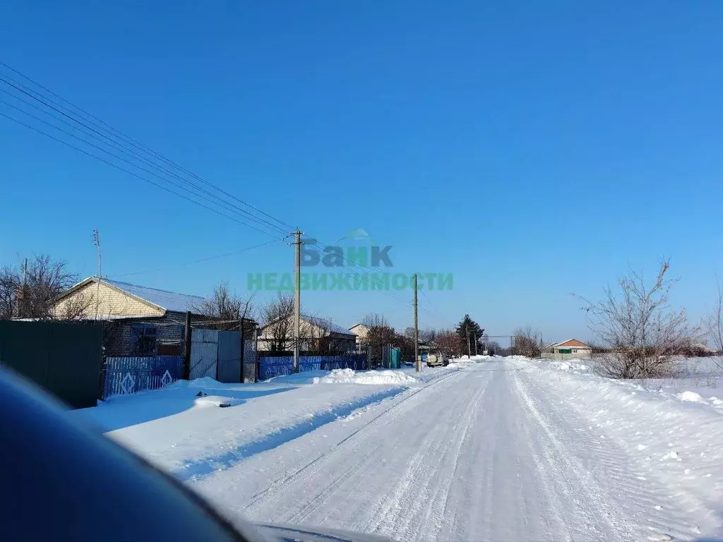Участок в Саратовская область, Балаковский район, Натальинское ... - Фото 1