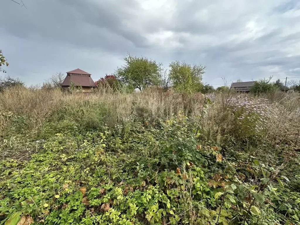 Участок в Калининградская область, Балтийск ул. Ажиновая (8.11 сот.) - Фото 2