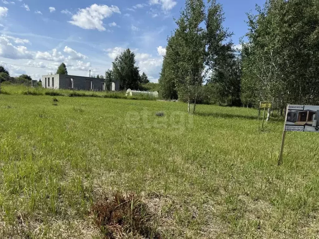 Участок в Тюменская область, Тюмень Россиянка садовое товарищество, ... - Фото 0