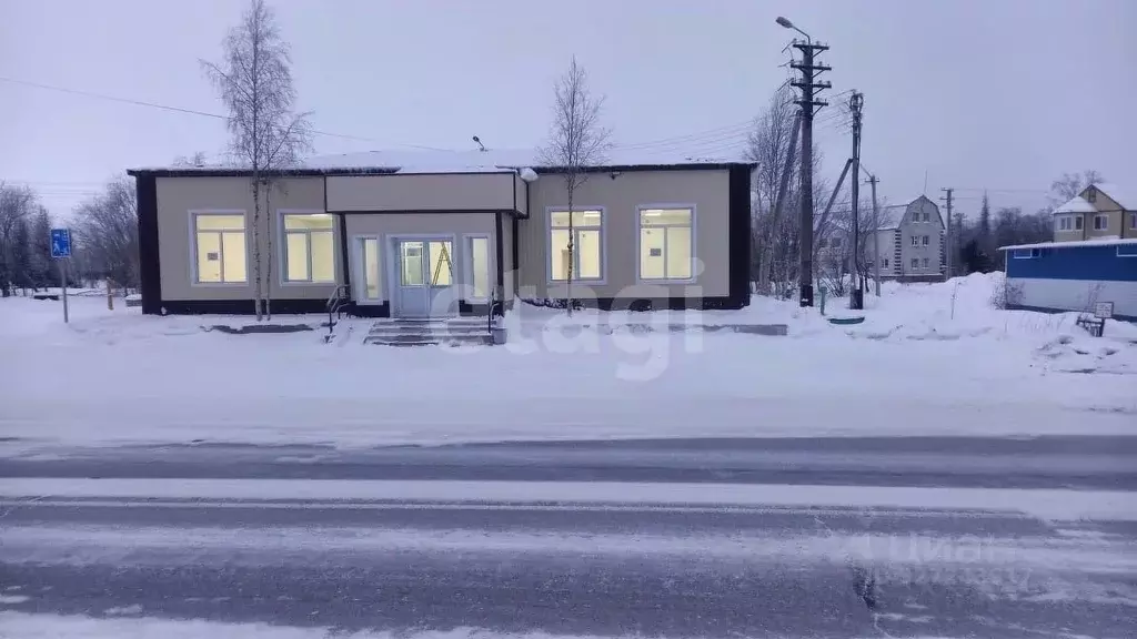 Торговая площадь в Ямало-Ненецкий АО, Надымский район, Пангоды пгт ул. ... - Фото 1